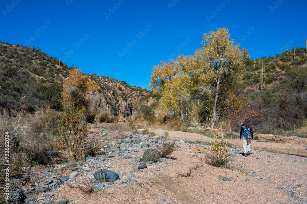 A woman hiking in an Arizona wash
