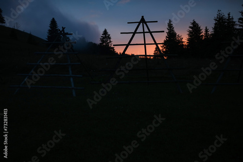 Silhouette of coniferous fo...