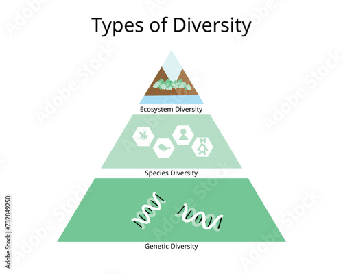 Types of biodiversity for ecological biodiversity, species, genetic biodiversity