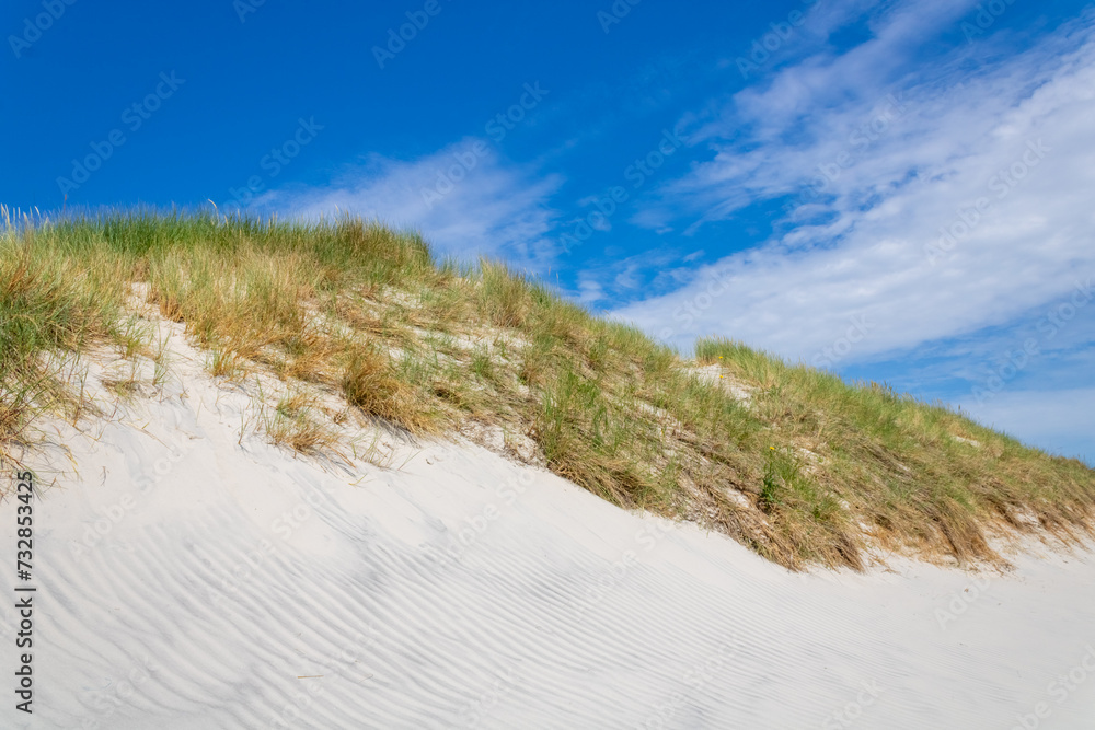 Dunes on North Sea coast