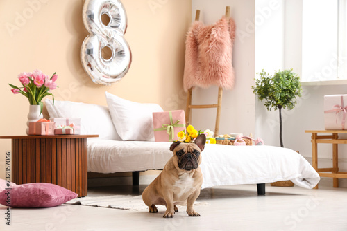 Cute French bulldog sitting...