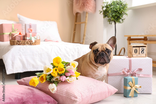 Adorable french bulldog pup...
