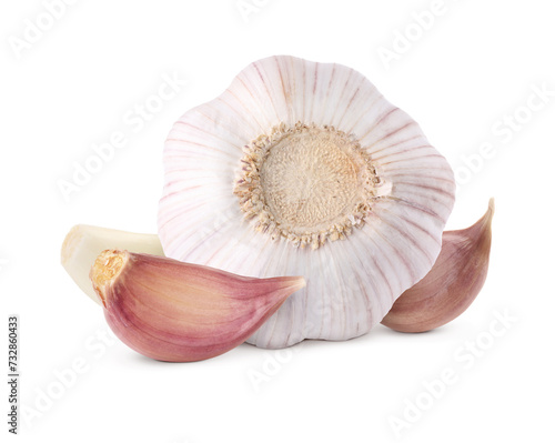 Fresh garlic bulb and cloves isolated on white
