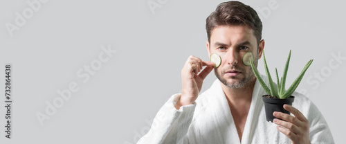 Banner of beauty man hold aloe vera. Middle aged man with aloe vera isolated on studio background. Aloe vera for cosmetics skin mask. Facial mask with aloe vera. Spa, dermatology, facial treatment.