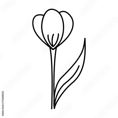 Flower bud in hand-drawn style