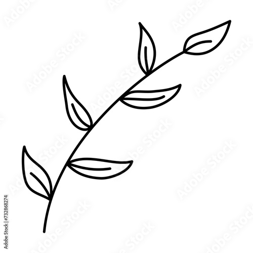 Wild plants in hand-drawn style