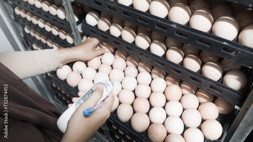 Quality control is measuring the temperature shell of the eggs in the incubation machine  Infrared thermometer in contact with the shell of an egg.