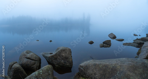 Steine am Ufer vom Oderteich im Harz bei Nebel
