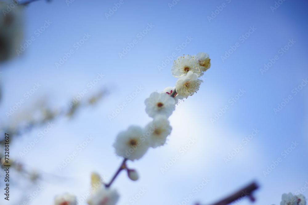 Spring is just around the corner Spring is just around the corner