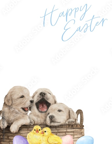 Easter puppy1 - 1 photo