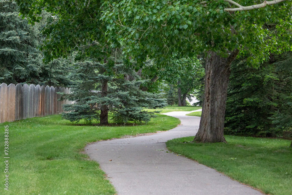 Empty urban scene of a paved curving pathway with green grass, trees, a wooden fence and no people. Empty urban scene of a paved curving pathway with green grass, trees, a wooden fence and no people.