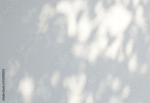 Abstract shadow of leaves on a white wall background