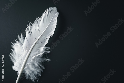 White Feather On Black Surface For Background Created Using Artificial Intelligence