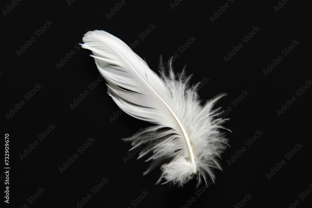 White Feather On Black Surface For Background Created Using Artificial Intelligence White Feather On Black Surface For Background Created Using Artificial Intelligence