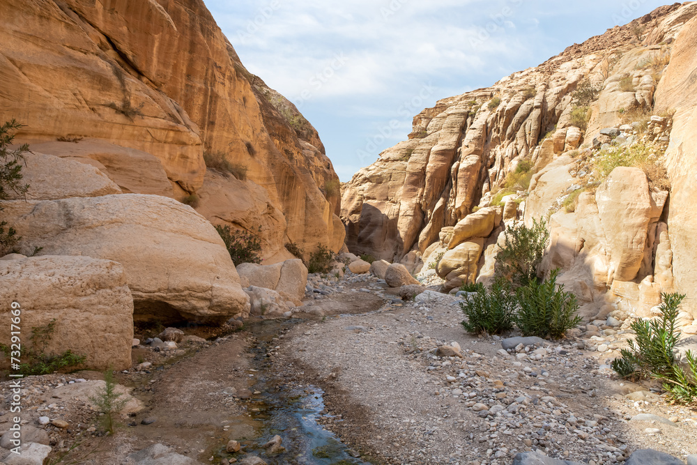 A never drying stream at beginning of the tourist route of the gorge Wadi Al Ghuwayr or An Nakhil and the wadi Al Dathneh near Amman in Jordan
