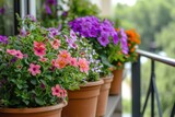 Colorful flowers growing in pots on the balcony.