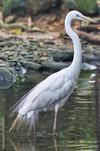 Port Douglas  Queensland  Australia