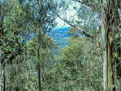 Cerro pan de azucar