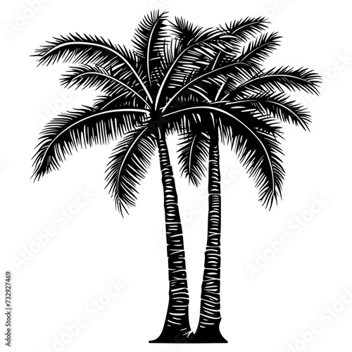 Silhouette palm dates black color only