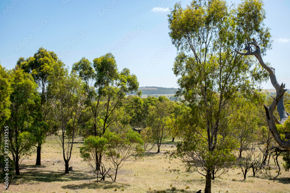 Woodlands Historic Park Melbourne Australia ウッドランドヒストリックパーク　メルボルン　オーストラリア