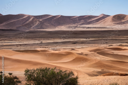 wadi rum desert