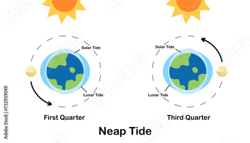 Neap tide. Moon tides, Lunar tides. Earth’s tide cartoon. Astronomy science infographic, education, banner, background, diagram. Vector and illustration.