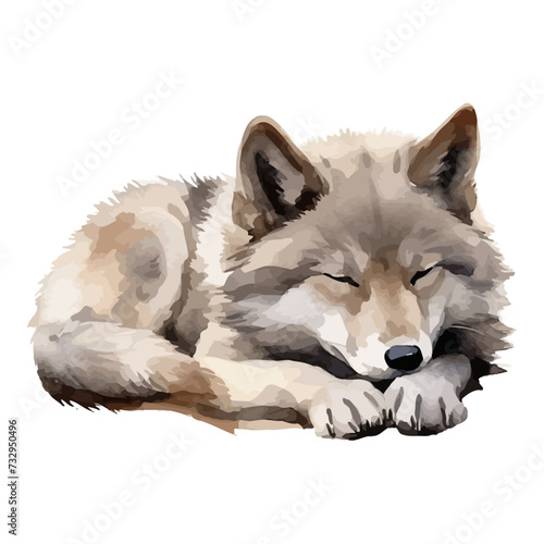 cartoon wolf sleeping in watercolor painting style