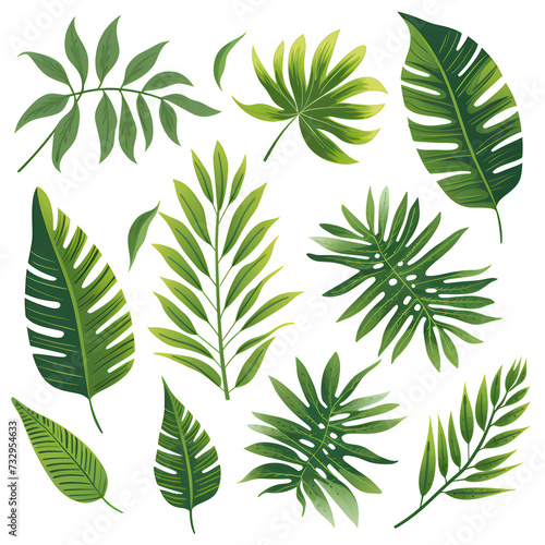 Set of tropical leaves  vector  watercolor  variety  ornamental  transparent background.