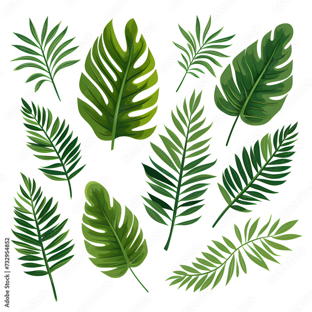 Set of tropical leaves, vector, watercolor, variety, ornamental, transparent background.