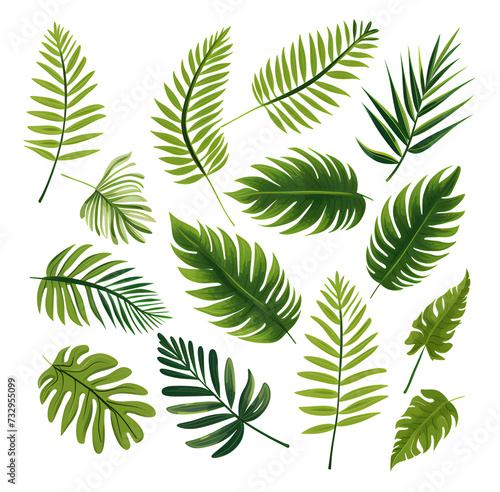 Set of tropical leaves  vector  watercolor  variety  ornamental  transparent background.