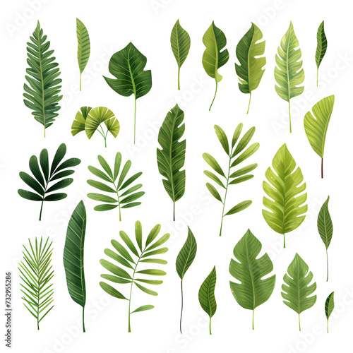 Set of tropical leaves  vector  watercolor  variety  ornamental  transparent background.