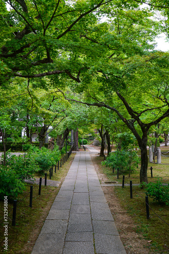 新緑の美しい初夏の真如堂境内の風景 © ykimura65