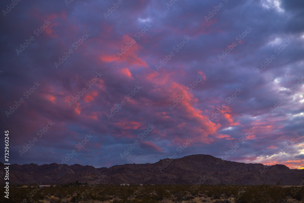 Pink Sunset In Joshua Tree Park - California 