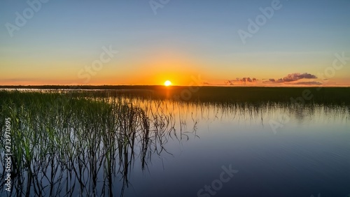 View of the sunset and the lively grass on the lake