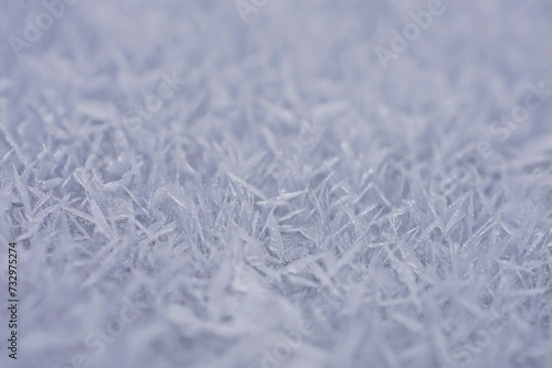 Picture of ice, frost and winter.
