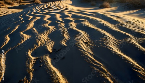 Fototapeta Naklejka Na Ścianę i Meble -  the sun is shining on the sand dunes