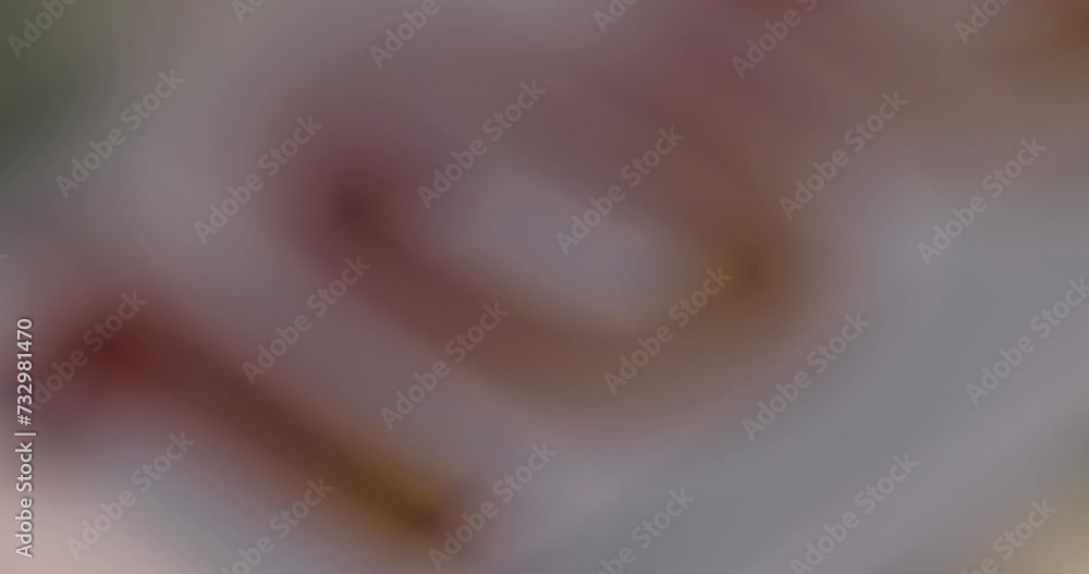 cash one hundred euros and 100 dollars close-up, genuine cash from the European Union and the USA cash one hundred euros and 100 dollars close-up, genuine cash from the European Union and the USA