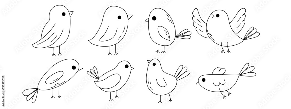 Hand drawn doodle birds on white background