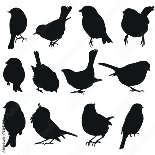 Birds Silhouette collection