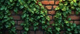 Green Foliage Against Brick Wall