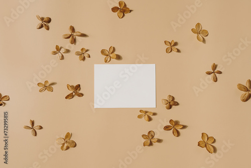 Flatlay of blank paper card sheet on beige background. Business template. Top view, flat lay minimalist aesthetic business branding concept