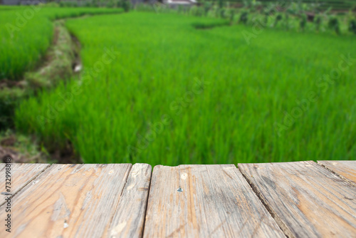 photo of a wooden board with a blurred view of green rice fields in the background