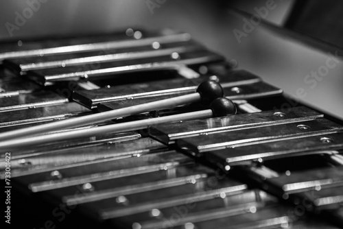 Drumsticks lying on a metallophone close-up in black and white
