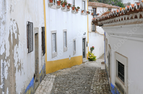 the small village of Obidos in Portugal