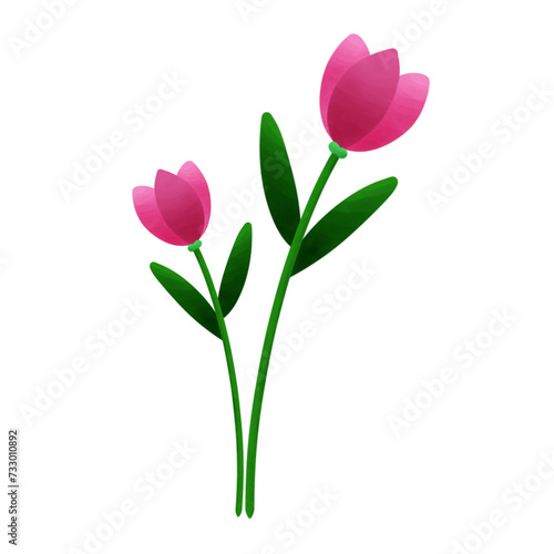 purple and pink tulips © Pika