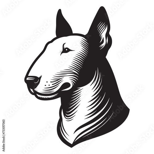 Foto White bull terrier head