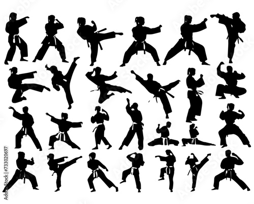 silhouettes of people martial arts poses