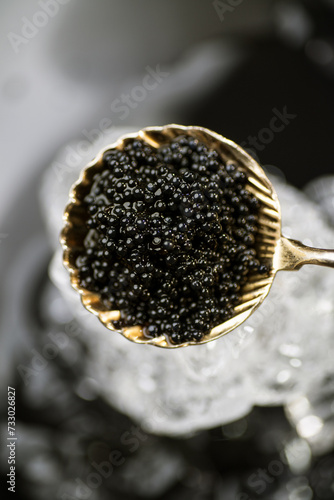 Black Caviar in golden spoon on ice. High quality natural sturgeon black caviar close-up. Delicatessen. Texture of expensive luxury caviar over gray background. Vertical image, top view 