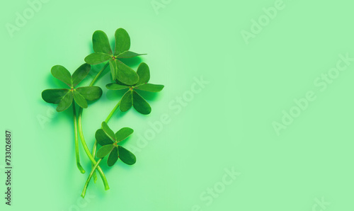 St. Patrick's Day background decorated with shamrock leaves. Patrick Day pub party celebrating. Abstract Border art design backdrop. Widescreen clovers on green with copy space. Top view , flat lay. 