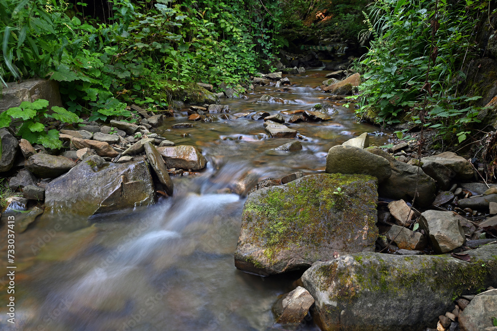 Crystal clear river originates in the mountain forest. Crystal clear river originates in the mountain forest.
